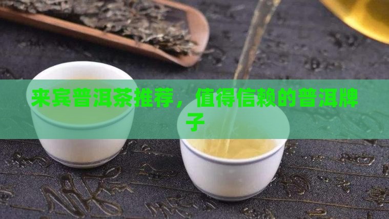 来宾熟普洱茶品牌