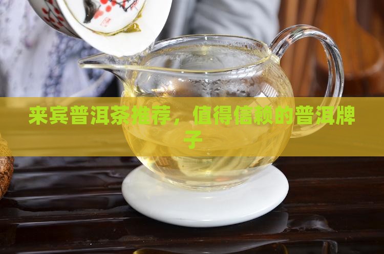 来宾熟普洱茶品牌