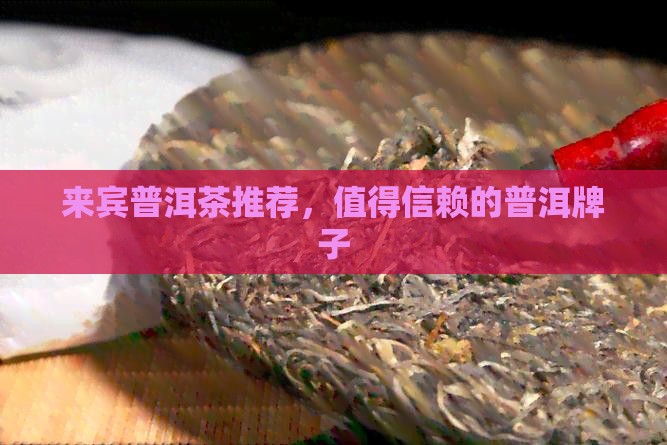 来宾熟普洱茶品牌