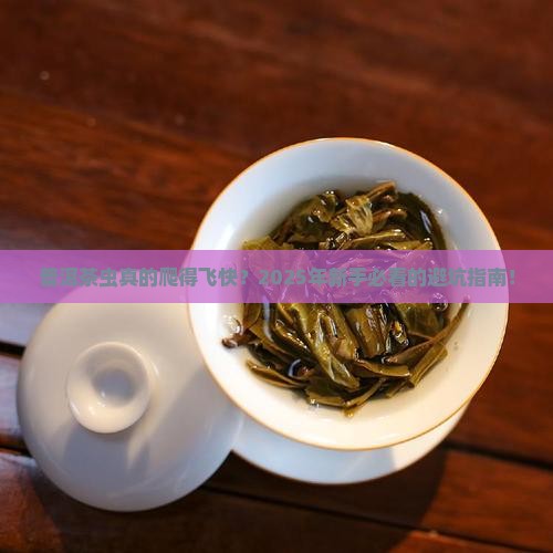 普洱茶虫爬得很快吗好吗
