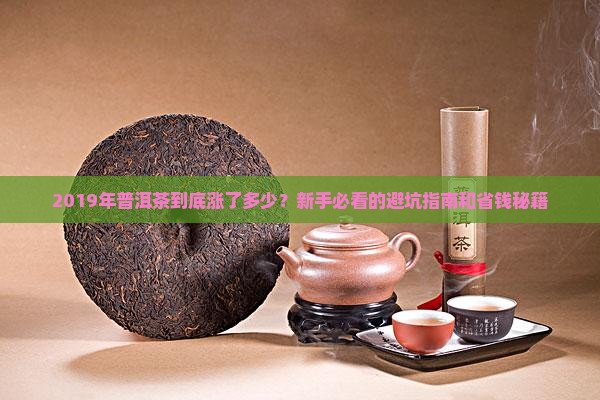2019年普洱茶走势