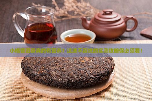 小橘普洱茶营养