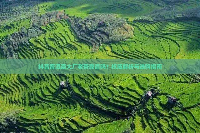 抖音普洱茶大厂老茶靠谱吗