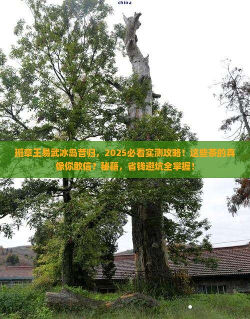 班章王易武冰岛昔归