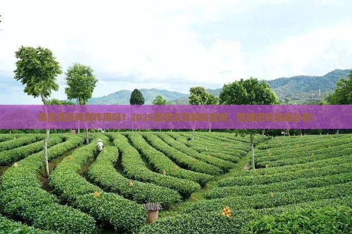 喝普洱茶有副作用没