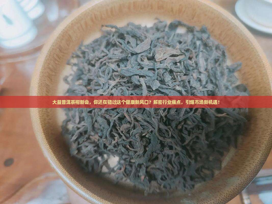大益普洱茶柑新会