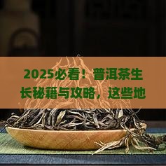 普洱茶的生长地区