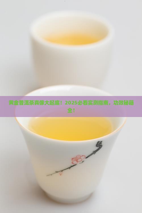 黄金普洱茶的功效与作用