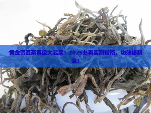 黄金普洱茶的功效与作用