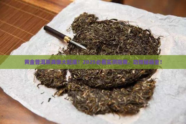 黄金普洱茶的功效与作用
