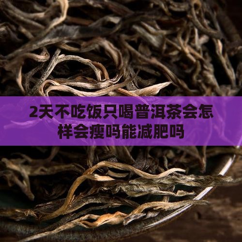 2天不吃饭只喝普洱茶