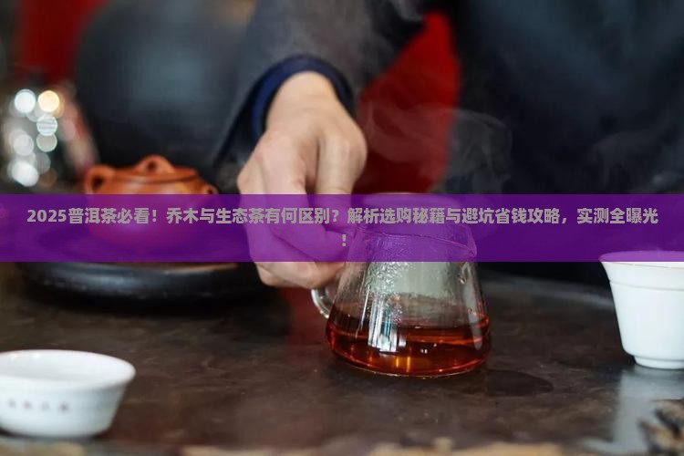 普洱茶中乔木和生态的区别
