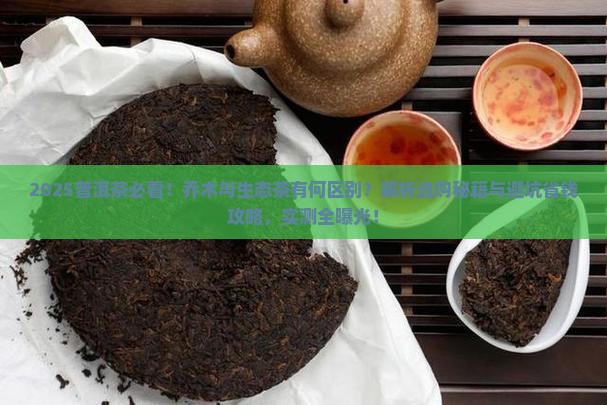 普洱茶中乔木和生态的区别