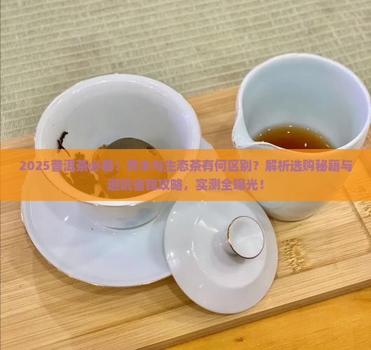 普洱茶中乔木和生态的区别