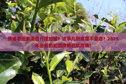 贵港老班章渠道代理加盟
