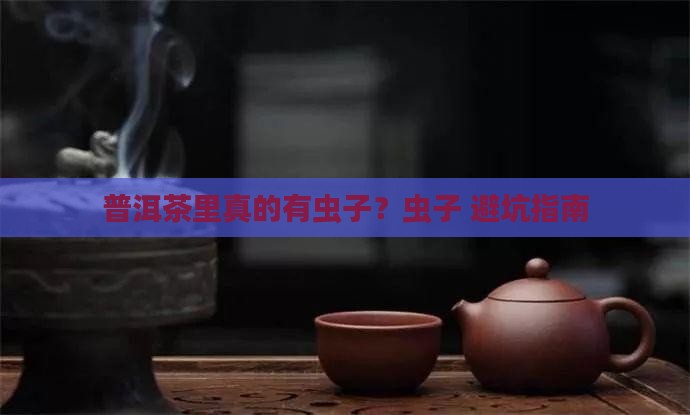 普洱茶里有什么虫子好治