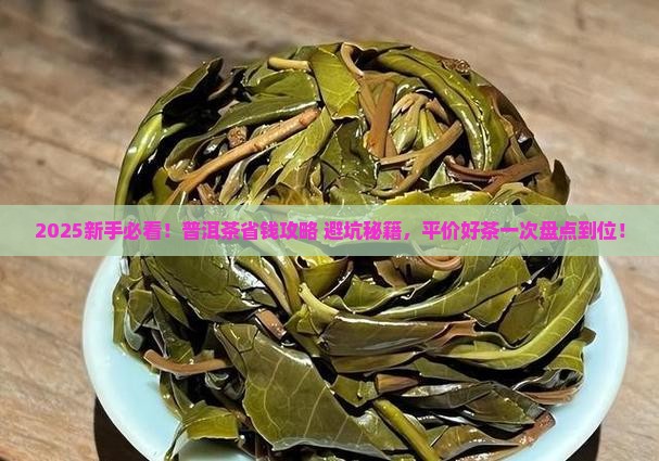 新手喝普洱茶推荐平价茶
