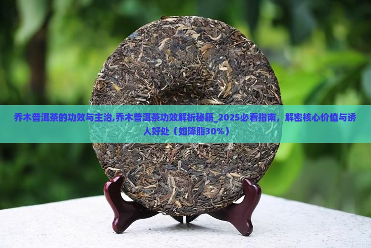 乔木普洱茶的功效与主治