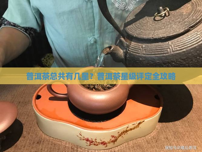 普洱茶总共有几星