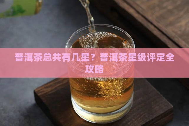 普洱茶总共有几星