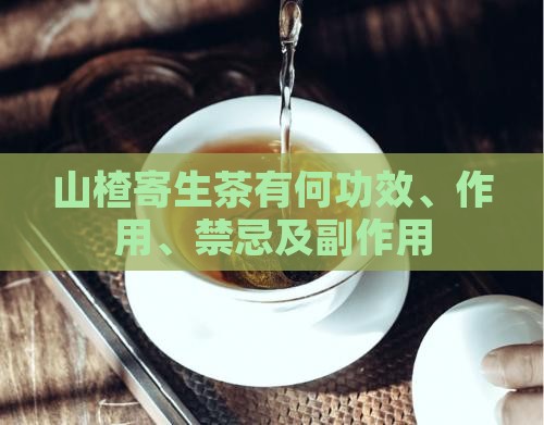 山楂寄生茶有何功效