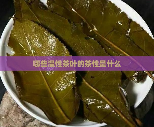 哪些茶是温性的茶温性的茶叶