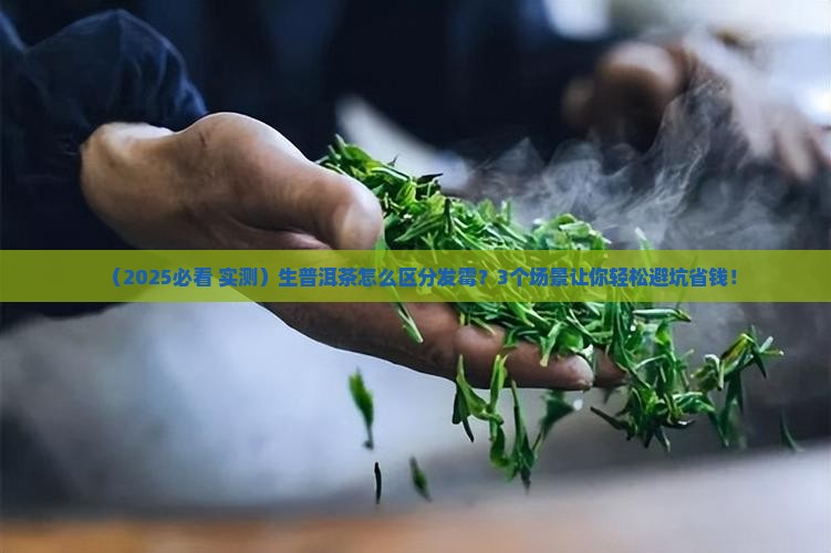 生普洱茶怎么区别发霉了