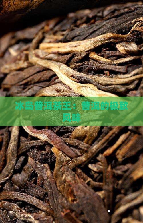 勐康普洱茶冰岛王