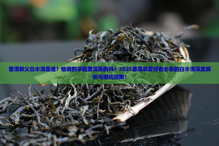 普洱教父白水清