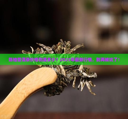 陈柚普洱茶价格
