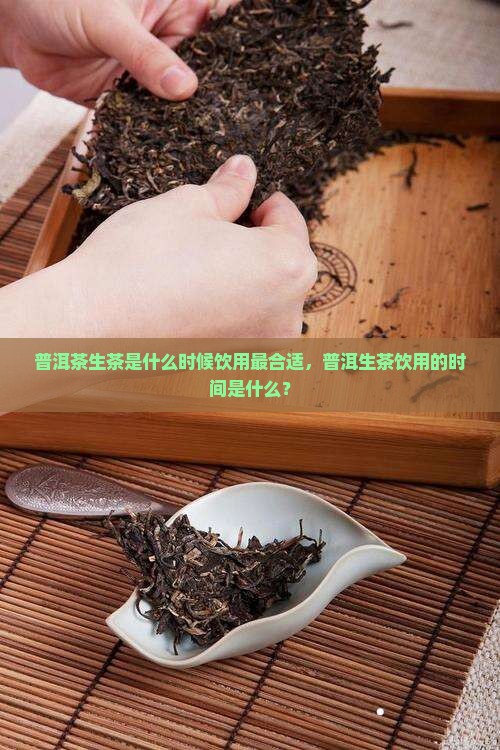 普洱茶生茶是什么时候喝的