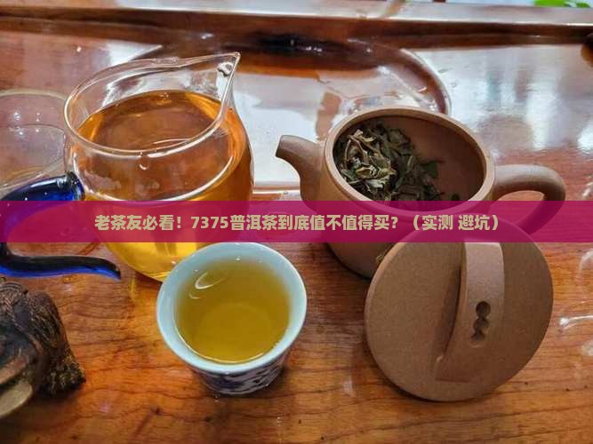 老同志普洱茶7375