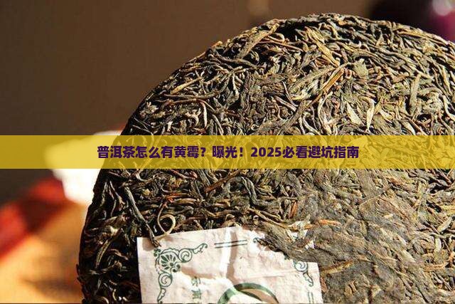 普洱茶有黄色的霉菌