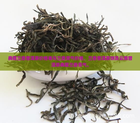 典藏兰香普洱茶