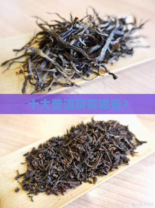 名牌普洱茶都有哪些