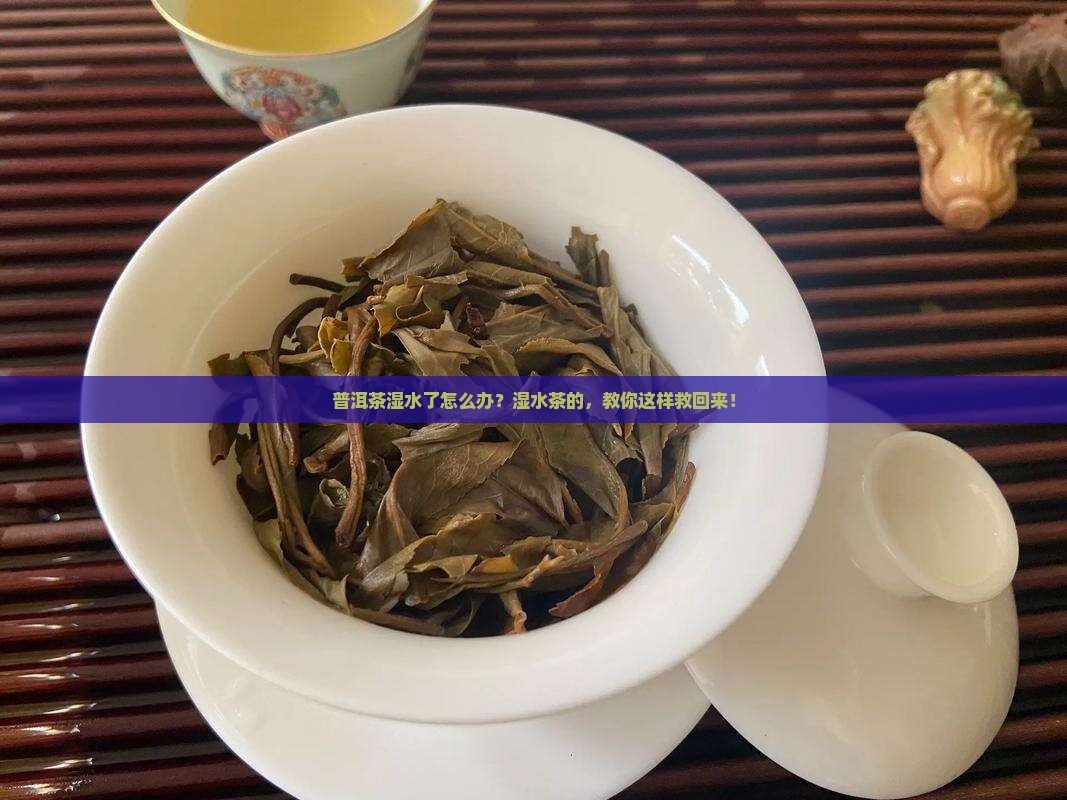 普洱茶湿水了怎么办