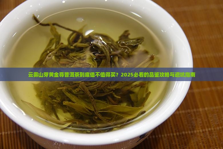 云雾山芽黄金尊普洱茶
