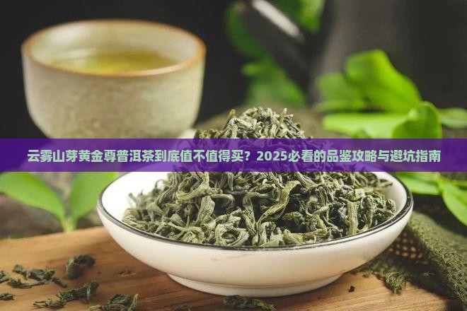 云雾山芽黄金尊普洱茶