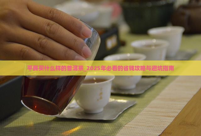 平民买什么样的普洱茶