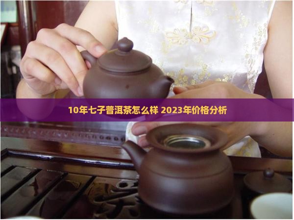 10年七子普洱茶怎么样