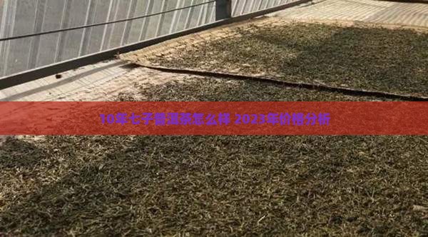 10年七子普洱茶怎么样