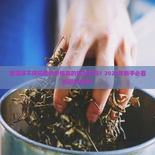 普洱茶不同品种的价格