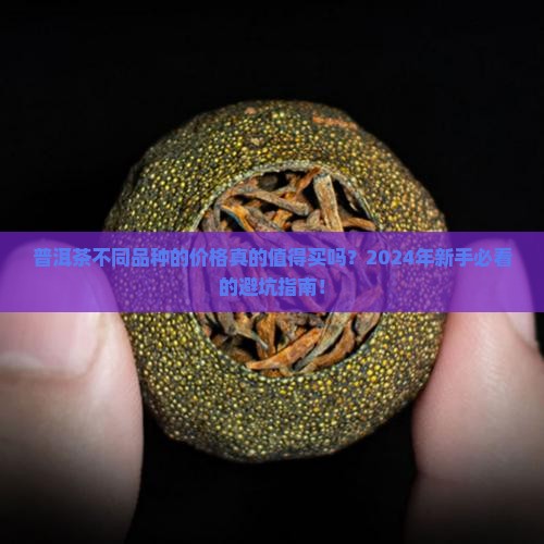 普洱茶不同品种的价格