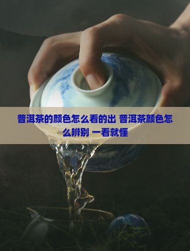 普洱茶的颜色怎么看的出