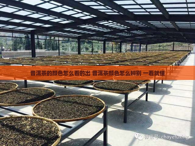 普洱茶的颜色怎么看的出