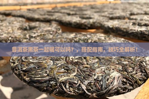 普洱茶黑茶一起喝可以吗