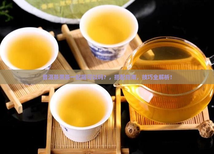 普洱茶黑茶一起喝可以吗