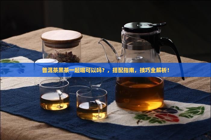 普洱茶黑茶一起喝可以吗