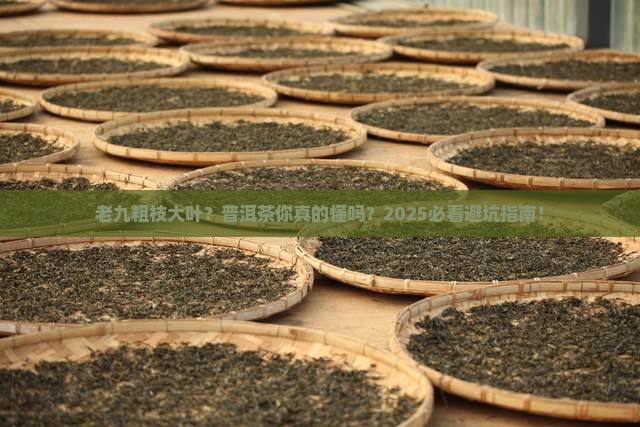 老九粗枝大叶普洱茶