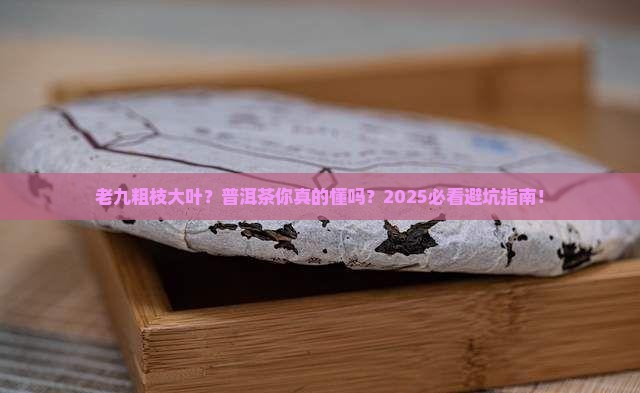 老九粗枝大叶普洱茶